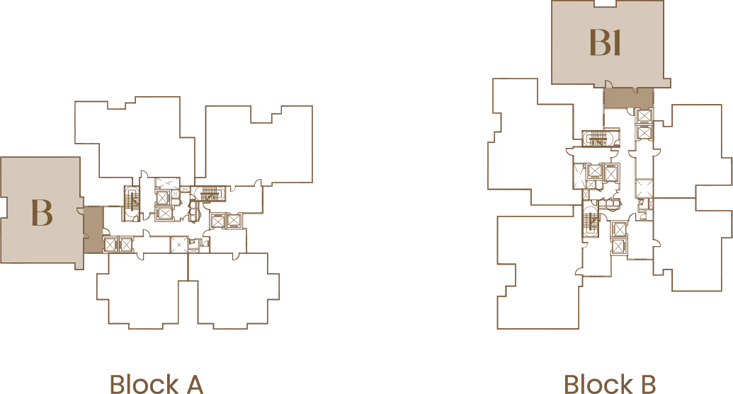 Type B/B1 related block view 3